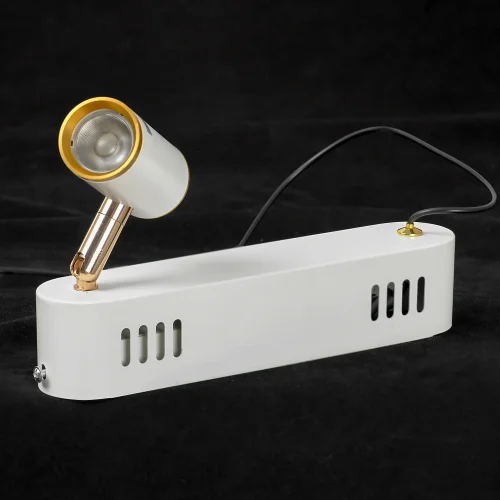 Люстра подвесная LED Gilbert LSP-7176 Lussole белая на 14 ламп, основание белое в стиле современный лофт кольца фото 5