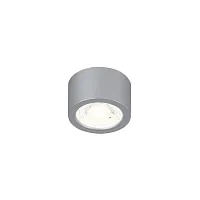 Светильник накладной LED Deorsum 2808-1U Favourite серебряный 1 лампа, основание серебряное в стиле хай-тек современный круглый