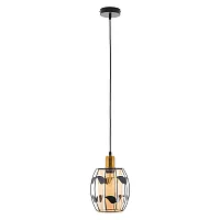 Светильник подвесной Huston MR1690-1P MyFar янтарный 1 лампа, основание чёрное в стиле современный флористика 