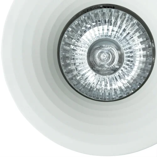 Светильник точечный Anser A2160PL-1WH Arte Lamp белый 1 лампа, основание белое в стиле современный  фото 2