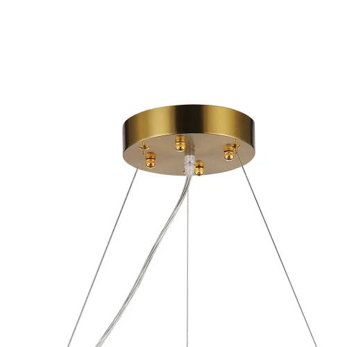 Люстра подвесная хрустальная Magnitudo 2206-12P Favourite прозрачная на 12 ламп, основание золотое в стиле современный  фото 3