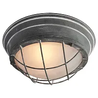 Светильник потолочный лофт LSP-9881 Lussole белый 2 лампы, основание серое в стиле лофт 