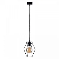Светильник подвесной Fiord 9670-NW Nowodvorski чёрный 1 лампа, основание чёрное в стиле лофт 