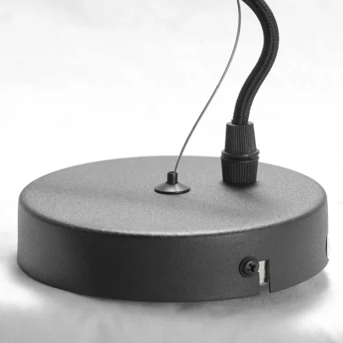 Люстра подвесная Huron LSP-8156-CL Lussole без плафона на 6 ламп, основание чёрное в стиле лофт современный  фото 6