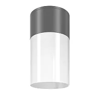 Накладной светильник Willis O418CL-01GR Maytoni уличный IP54 чёрный 1 лампа, плафон белый в стиле современный E27