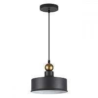 Светильник подвесной Bolli 4088/1 Odeon Light чёрный 1 лампа, основание чёрное в стиле лофт 