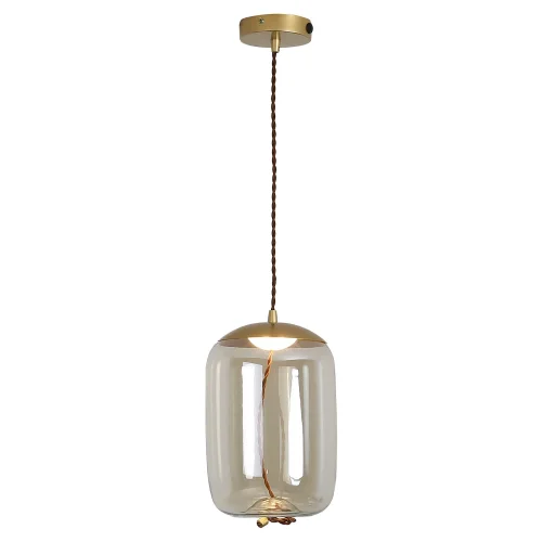 Светильник подвесной LED Acquario LSP-8355 Lussole прозрачный 1 лампа, основание матовое золото в стиле современный выдувное