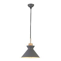 Светильник подвесной 1106/1S Escada серый 1 лампа, основание серое в стиле современный 