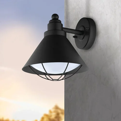 Настенный светильник BARROSELA 94805 Eglo уличный IP44 чёрный 1 лампа, плафон белый в стиле кантри классический E27 фото 2
