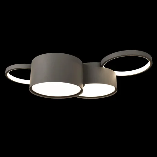 Светильник потолочный LED Pin 10317/4 Grey LOFT IT серый 1 лампа, основание серое в стиле современный хай-тек  фото 2