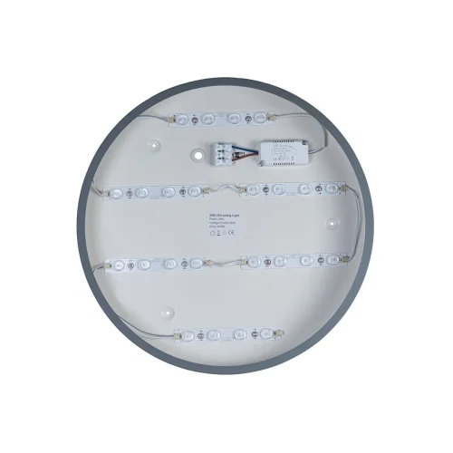 Светильник потолочный LED Axel 10003/24 Grey LOFT IT белый 1 лампа, основание серое в стиле современный  фото 4