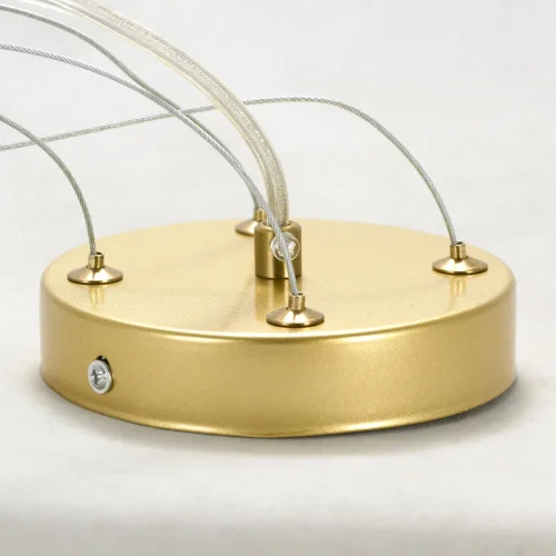 Люстра подвесная LSP-8549 Lussole белая на 7 ламп, основание матовое золото в стиле флористика  фото 8