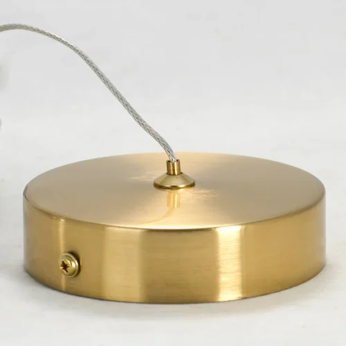 Светильник подвесной LED LSP-8479 Lussole прозрачный 1 лампа, основание матовое золото в стиле современный  фото 4