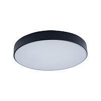Светильник потолочный LED Axel 10002/24 Black LOFT IT белый 1 лампа, основание чёрное в стиле современный 