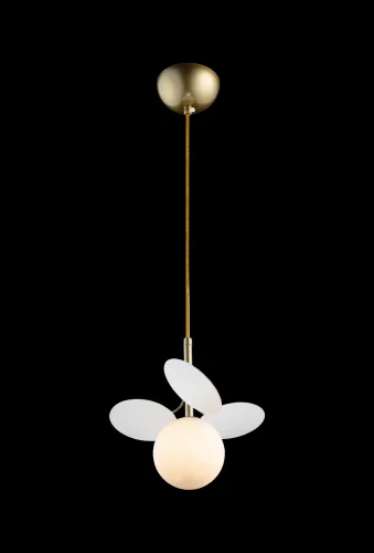 Светильник подвесной Matisse 10008/1P white LOFT IT разноцветный белый 1 лампа, основание золотое в стиле современный шар фото 2