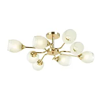 Люстра потолочная Jolene 4546/8C Lumion белая на 8 ламп, основание золотое в стиле классический 