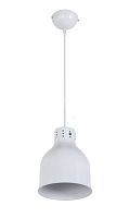 Светильник подвесной Colata E 1.3.P1 W Arti Lampadari белый 1 лампа, основание белое в стиле современный 