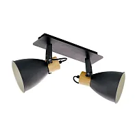 Спот с 2 лампами Coswarth 99075 Eglo чёрный E27 в стиле современный 