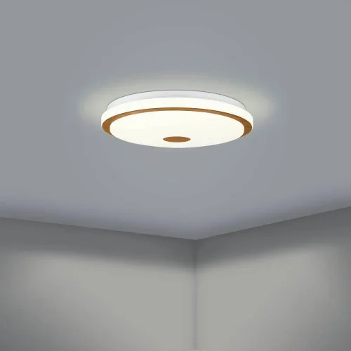 Светильник потолочный LED Lanciano 1 900598 Eglo белый 1 лампа, основание белое в стиле современный  фото 5
