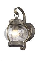 Настенный светильник Faro 1498-1W Favourite уличный IP44 коричневый 1 лампа, плафон прозрачный в стиле кантри классический E27