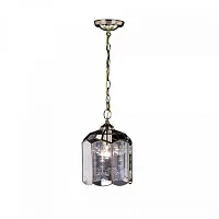 Светильник подвесной Витра-2 CL442210 Citilux прозрачный 1 лампа, основание бронзовое в стиле замковый кантри 