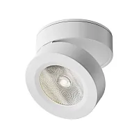 Светильник накладной LED Alivar C022CL-L7W4K Maytoni белый 1 лампа, основание белое в стиле современный круглый