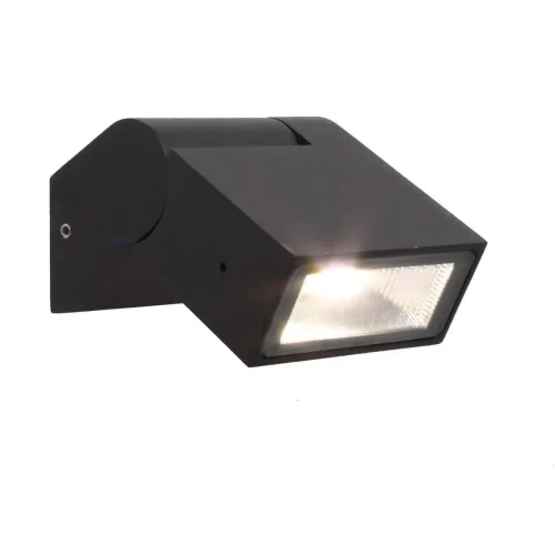 Настенный светильник Visum 3024-1W Favourite уличный IP44 чёрный 1 лампа, плафон прозрачный в стиле современный LED фото 2