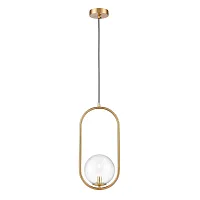 Светильник подвесной Bianco VL5714P21 Vele Luce прозрачный 1 лампа, основание золотое в стиле современный шар