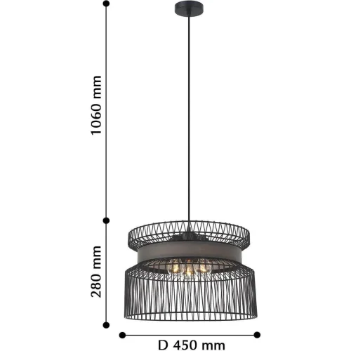 Люстра подвесная лофт Korb 2363-2P Favourite чёрная на 3 лампы, основание чёрное в стиле лофт  фото 4