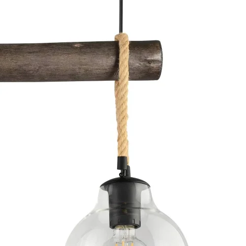 Светильник подвесной Roding 43618 Eglo прозрачный 3 лампы, основание чёрное в стиле лофт современный  фото 3