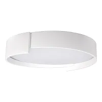 Светильник потолочный LED Coin 10200 White LOFT IT белый 1 лампа, основание белое в стиле современный 