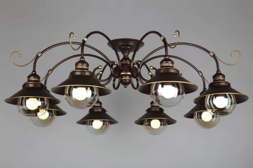 Люстра потолочная Fontelo OML-50407-08 Omnilux прозрачная на 18 ламп, основание коричневое в стиле кантри шар фото 2