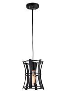 Светильник подвесной лофт 1521-1P Favourite чёрный 1 лампа, основание чёрное в стиле лофт 