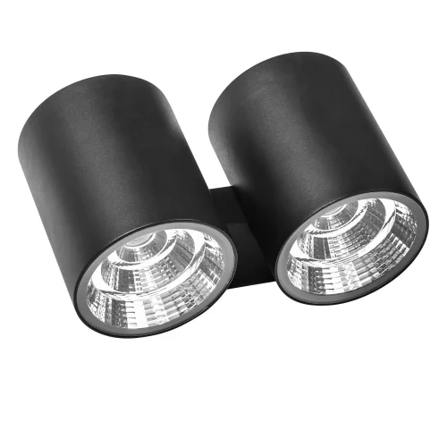 Настенный светильник LED Paro 372572 Lightstar уличный IP65 чёрный 2 лампы, плафон чёрный в стиле хай-тек LED