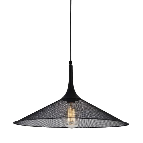 Светильник подвесной лофт LSP-9813 Lussole чёрный прозрачный 1 лампа, основание чёрное в стиле лофт 