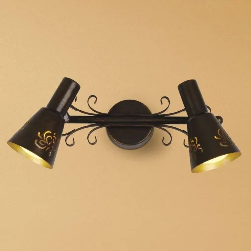 Спот Дункан с 2 лампами CL529521 Citilux коричневый E14 в стиле кантри прованс 