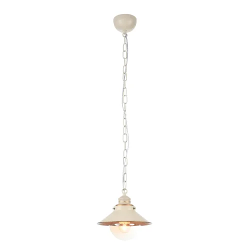 Светильник подвесной лофт Grazioso A4577SP-1WG Arte Lamp белый прозрачный 1 лампа, основание белое золотое в стиле лофт 