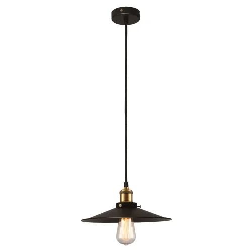 Светильник подвесной лофт New York GRLSP-9601 Lussole чёрный 1 лампа, основание чёрное в стиле лофт  фото 2