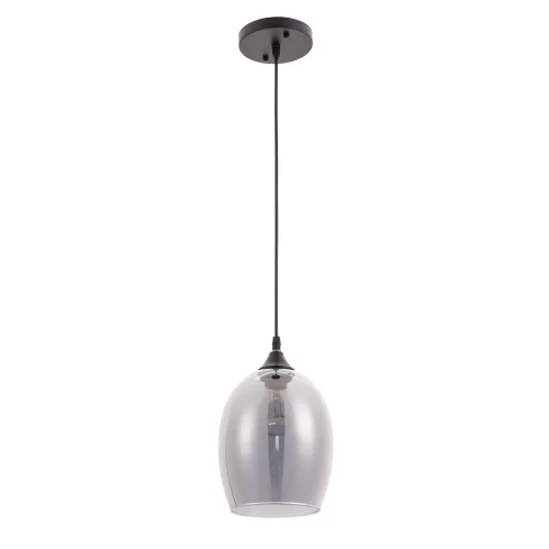 Светильник подвесной Propus A4344SP-1BK Arte Lamp серый 1 лампа, основание чёрное в стиле современный 