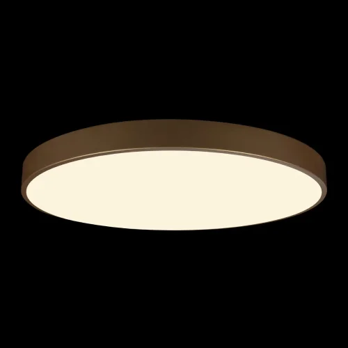 Светильник потолочный LED Flims 10228/B LOFT IT белый 1 лампа, основание золотое в стиле современный  фото 4