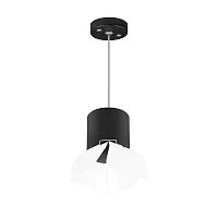 Светильник подвесной Rullo GX53 RP3487486 Lightstar чёрный 1 лампа, основание чёрное в стиле хай-тек современный 
