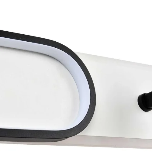 Светильник потолочный LED с пультом Planar 4076-2C Favourite чёрный 1 лампа, основание белое в стиле хай-тек с пультом фото 5