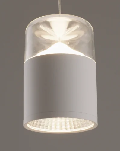 Светильник подвесной LED Rinna V10865-PL Moderli прозрачный 1 лампа, основание белое в стиле современный  фото 4