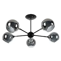 Люстра потолочная Brooke A2708PL-5BK Arte Lamp чёрная серая на 5 ламп, основание чёрное в стиле современный шар