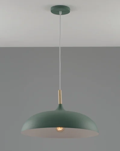 Светильник подвесной Hygo V10656-1P Moderli зелёный 1 лампа, основание зелёное в стиле лофт скандинавский современный  фото 2