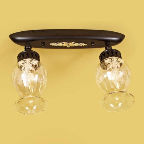 Светильник Метафора потолочный CL413121 Citilux прозрачный 2 лампы, основание коричневое в стиле кантри прованс 