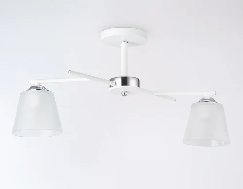 Светильник потолочный TR303201 Ambrella light белый 2 лампы, основание белое в стиле классический современный  фото 2