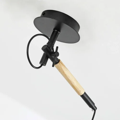 Светильник потолочный Eureka 3006-1P F-promo чёрный 1 лампа, основание чёрное в стиле скандинавский  фото 3