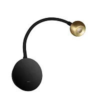 Бра с выключателем LED Point 10254 Brass LOFT IT латунь 1 лампа, основание чёрное в стиле хай-тек для чтения гибкая ножка