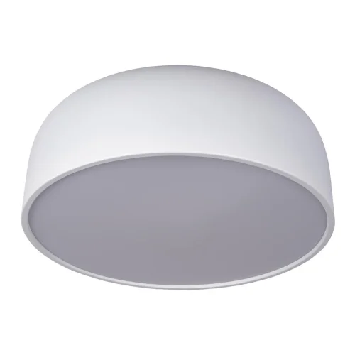 Светильник потолочный LED Axel 10201/480 White LOFT IT белый 1 лампа, основание белое в стиле современный  фото 3
